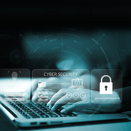 Cybersecurity & Risk Management